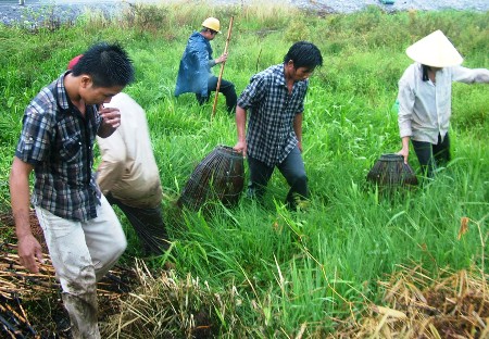 Mùa[-]này,[-]rất[-]đông[-]người[-]dân[-]ở[-]các[-]huyện[-]Quảng[-]Ninh[-]và[-]Lệ[-]Thủy[-]ra[-]đồng[-]bắt[-]chuột